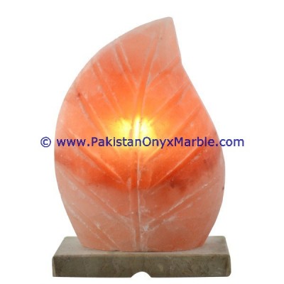 pakistan himalaya natural crafted pink salt lamp HIMALAYAN IONIC SALT CRYSTAL LEAF LAMP