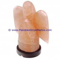 100% Pakistan Natural Crystal Rock Salt Lamp/Himalayan Decoration Salt lamp himalayan ionic salt crystal Angel lamp