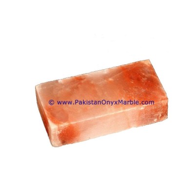 Cooking with a Himalayan Salt Tile / Himalayan Salt Plates, Blocks for Cooking